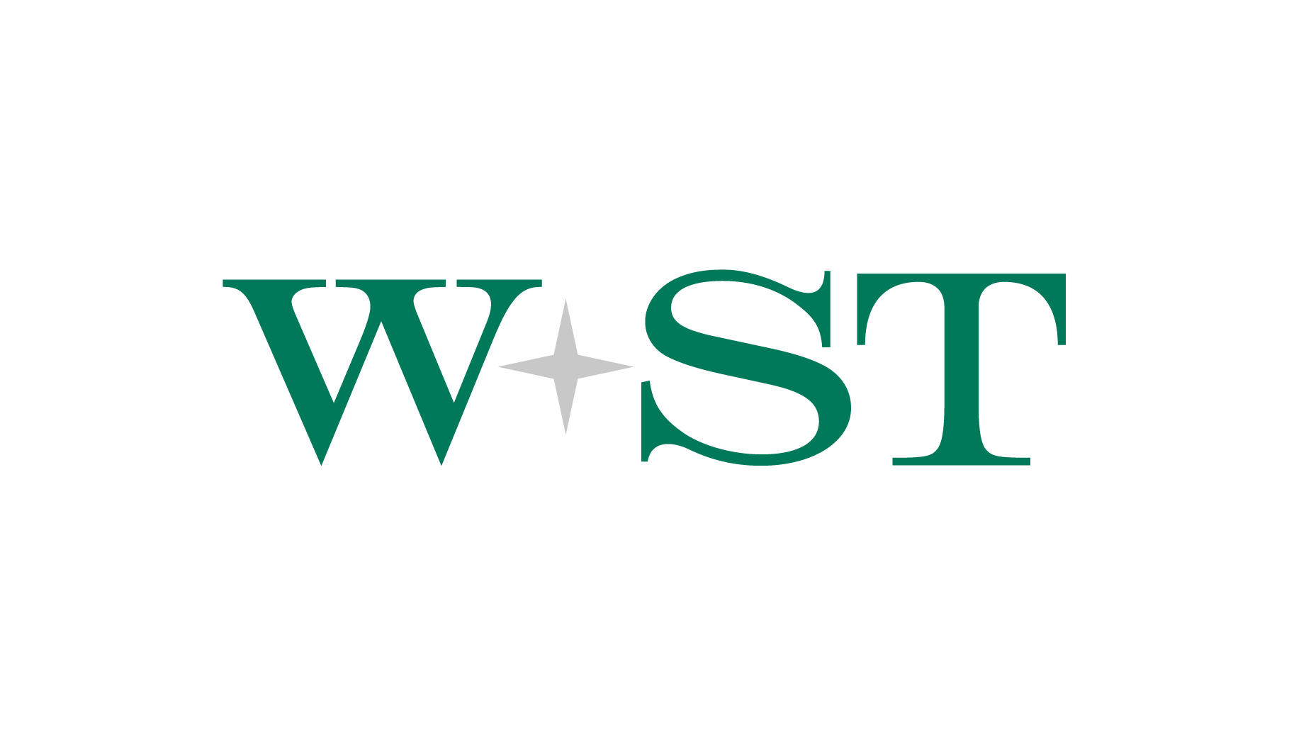 W+ST Wirtschaftsprüfung AG & Co. KG